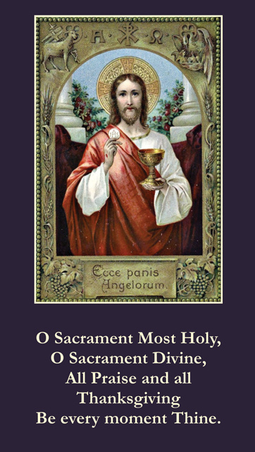 Free Catholic Holy Cards - Catholic Prayer Cards - St Therese of Lisieux -  St. Joseph - Our Lady of Guadalupe - Sacred Heart of Jesus - John Paul the  Great - Support Missionary work